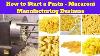 How To Start A Pasta Manufacturing Business Macaroni Making Business