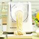 Noodle Mom Jys-n6 Home Made Pasta Noodle Maker Machine Fully Automatic 220v